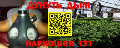 тгк Шахты