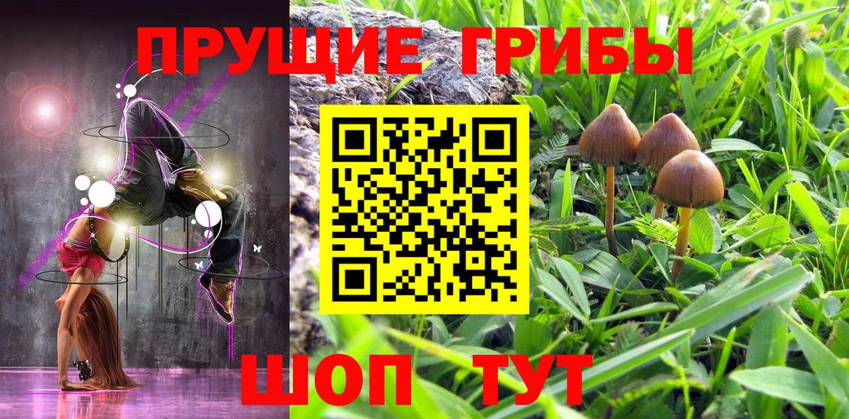 Невинномысск  сколько стоит  Вход с VPN  Псилоцибиновые грибы Magic Shrooms  Псилоцибиновые грибы Psilocybe 